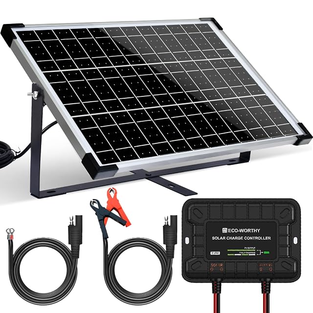 Kit chargeur solaire de batterie ECO-WORTHY 25 W avec régulateur et pinces
