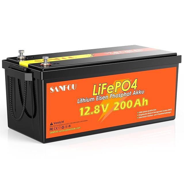 Batterie LiFePO4 Husgw de 200 Ah dans un grand boîtier noir