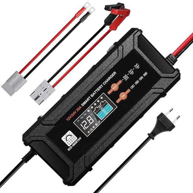 Chargeur de batterie LiFePO4 et plomb-acide ECO-WORTHY de 20 A